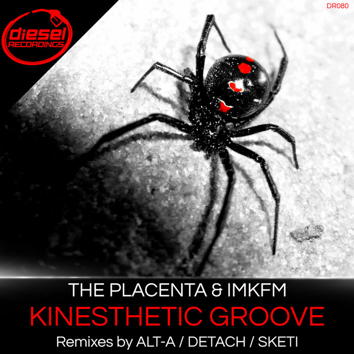 The Placenta/IMKFM - Kinesthetic Groove