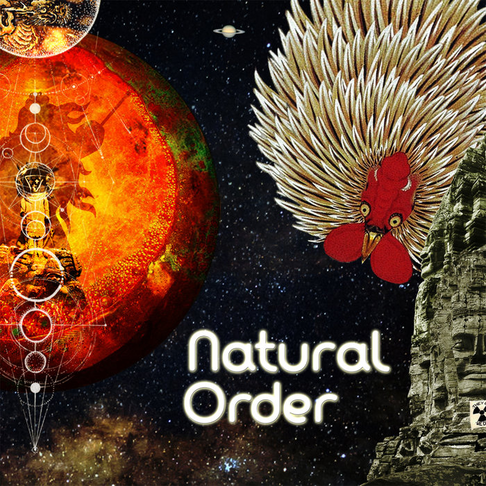 VARIOUS - Natural Order