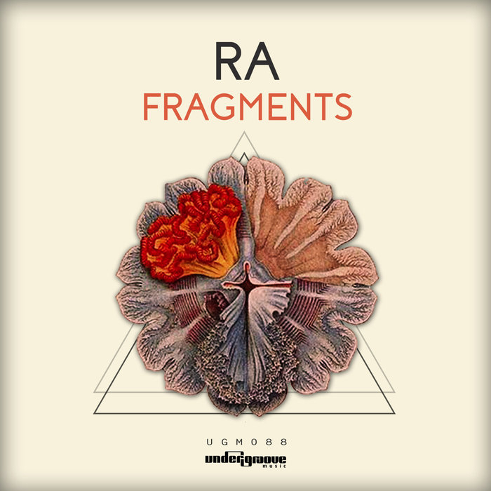 RA - Fragments