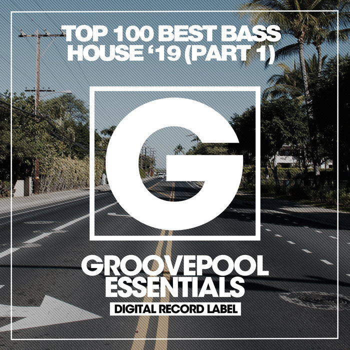VARIOUS - Top 100 Best Bass House '19 (Part 1)