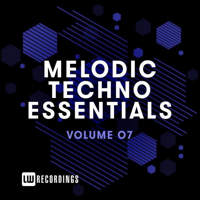 VARIOUS - Melodic Techno Essentials Vol 07