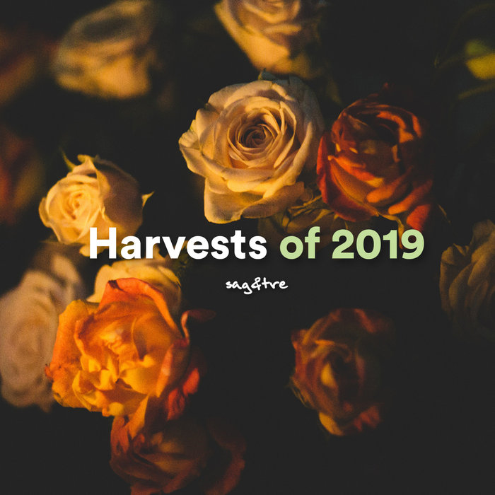 VARIOUS/DAVID SOTO - Harvests Of 2019