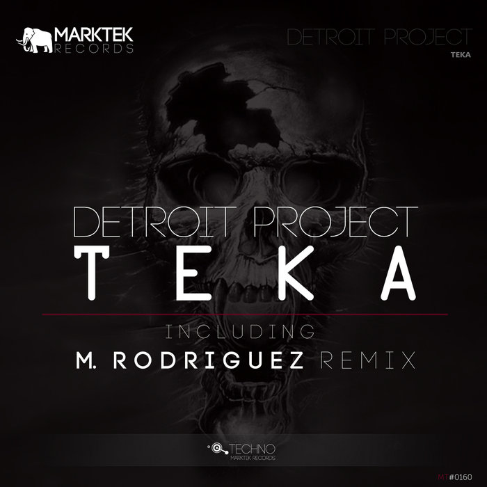 DETROIT PROJECT - Teka