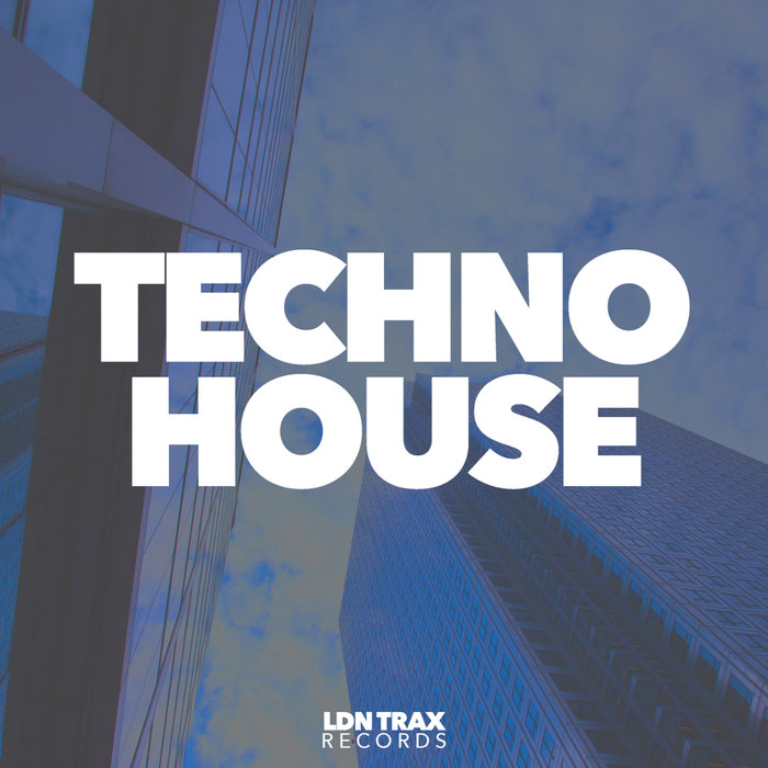 VARIOUS - Techno House