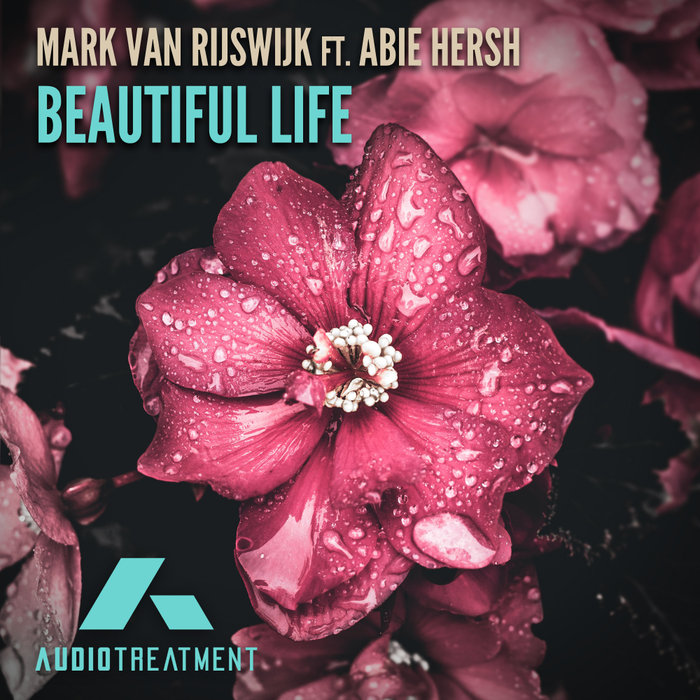 MARK VAN RIJSWIJK feat ABIE HERSH - Beautiful Life