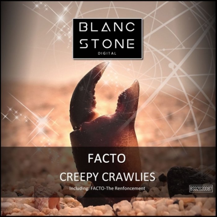 FACTO - Creepy Crawlies