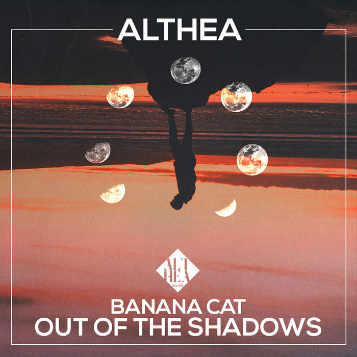 BANANA CAT - Out Of The Shadows