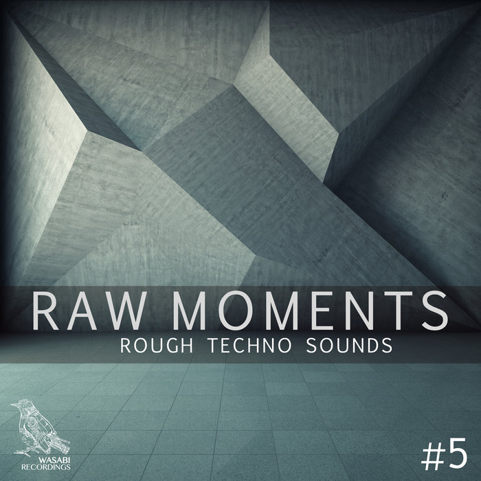 VARIOUS - Raw Moments Vol 5 - Rough Techno Sounds
