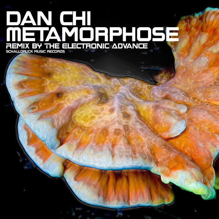 DAN CHI - Metamorphose