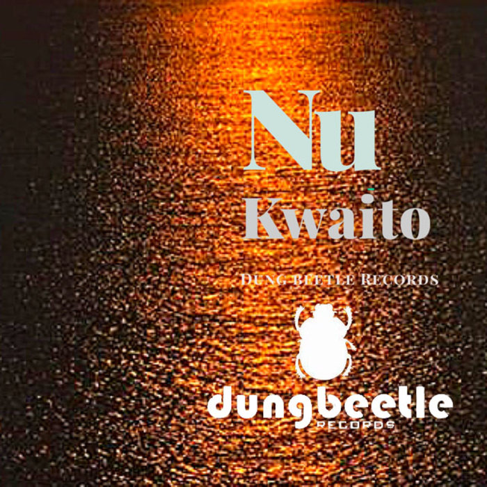 VARIOUS - Nu-Kwaito