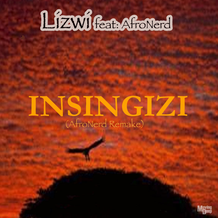 LIZWI feat AFRONERD - Insingizi