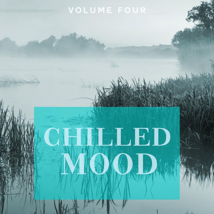VARIOUS - Chilled Mood Vol 4