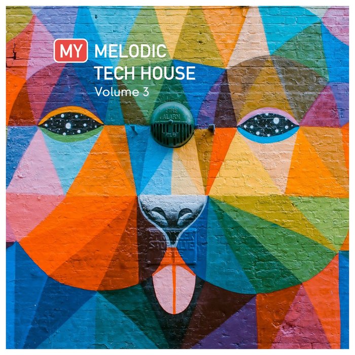 VARIOUS - My Melodic Tech House Vol 3