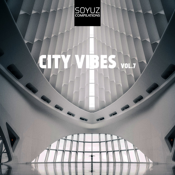 VARIOUS - City Vibes Vol 7