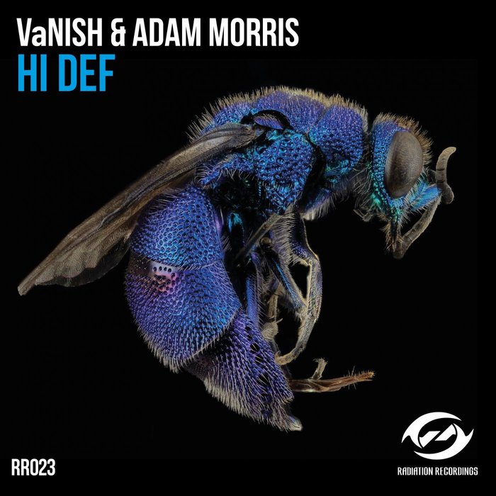 VANISH/ADAM MORRIS - Hi Def