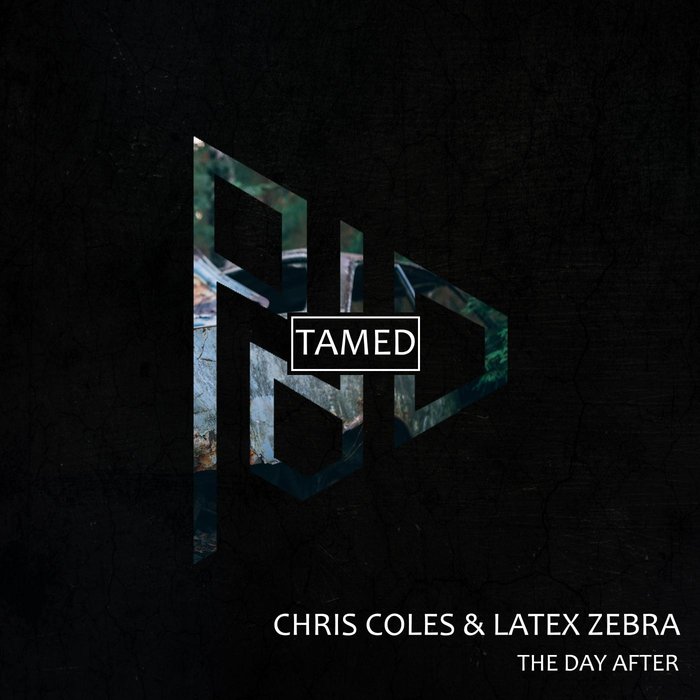 CHRIS COLES/LATEX ZEBRA - The Day After