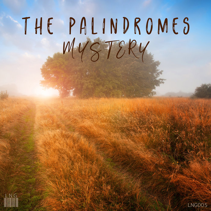 THE PALINDROMES - Mystery (Extended Mix)