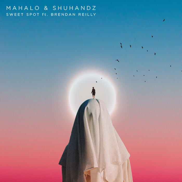 MAHALO/SHUHANDZ feat BRENDAN REILLY - Sweet Spot