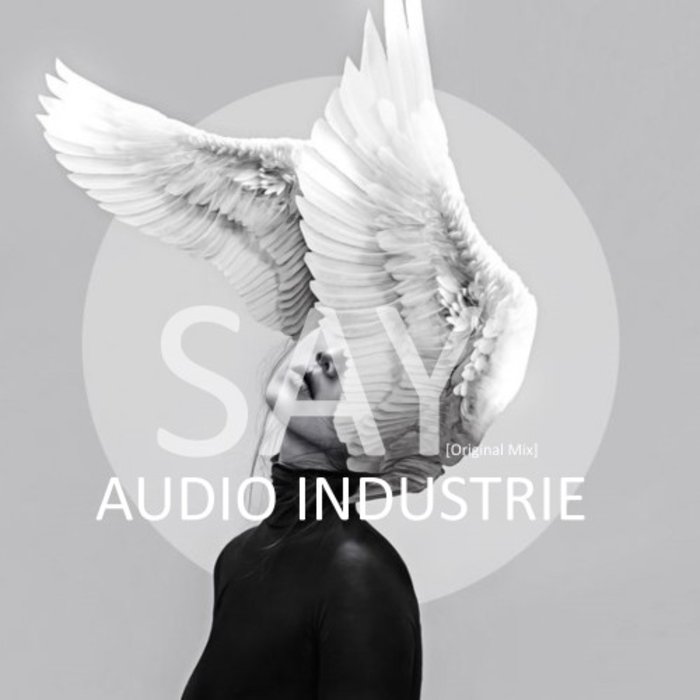 AUDIO INDUSTRIE - Say