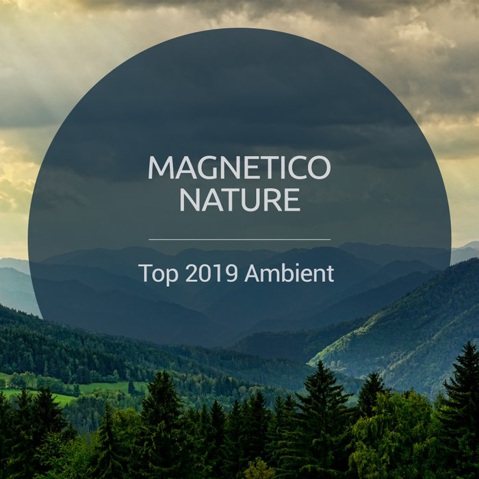VARIOUS - Top 2019 Ambient