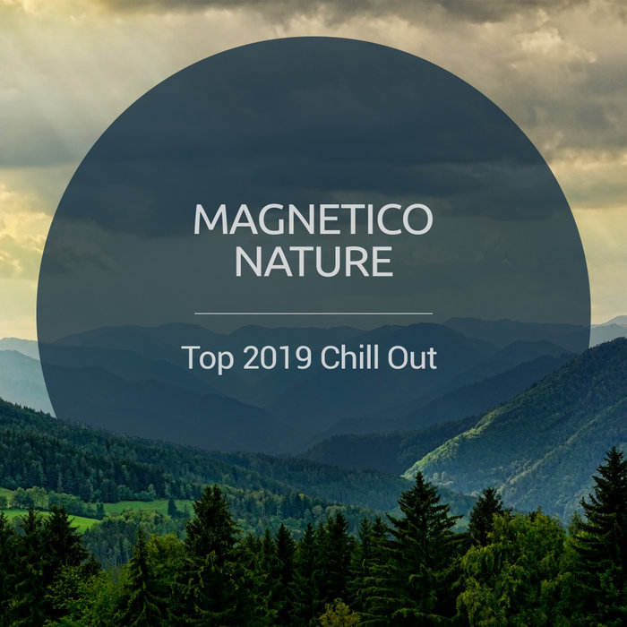 VARIOUS - Top 2019 Chill Out