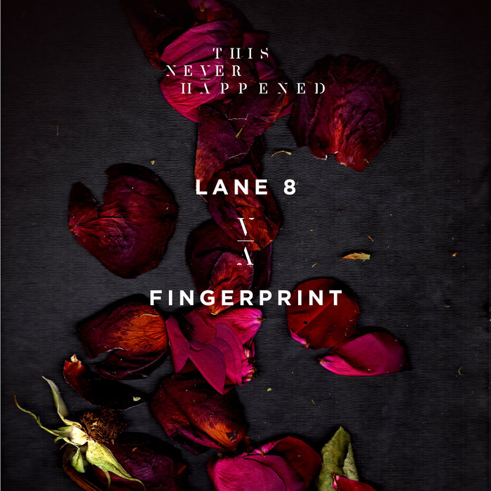 Fingerprint By Lane 8 On MP3, WAV, FLAC, AIFF & ALAC At Juno Download