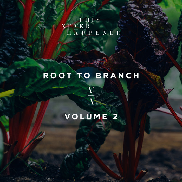 VARIOUS - Root To Branch Vol 2