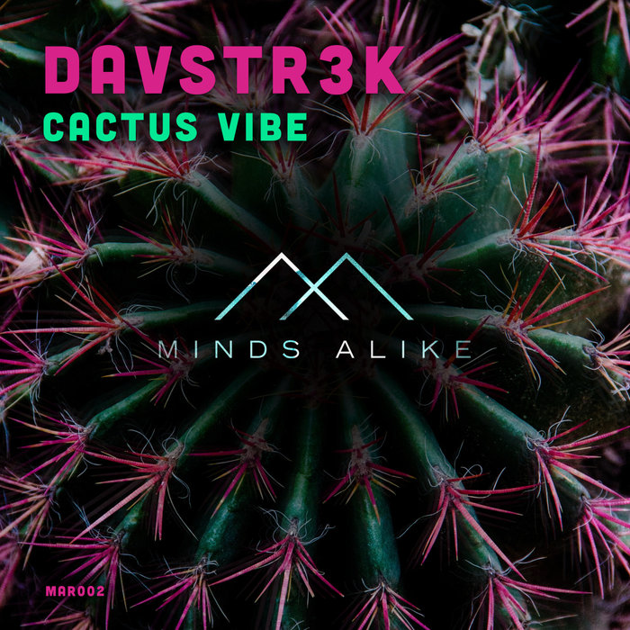 DAVSTR3K - Cactus Vibe