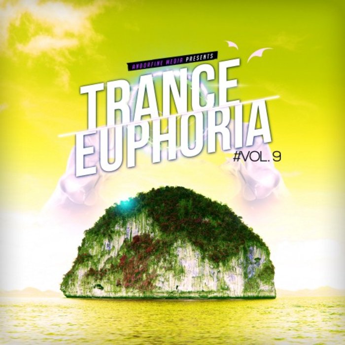 VARIOUS - Trance Euphoria Vol 9