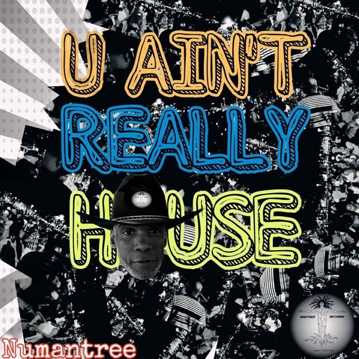 NUMANTREE feat KIM BEACHAM/YASIN BT/ESPINET/RASMIR MANTREE - U Ain't Really House
