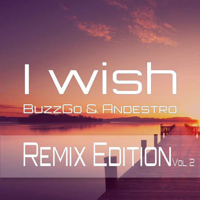 BUZZGO/ANDESTRO - I Wish (Remix Edition Vol 2)