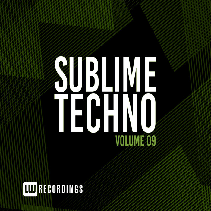 VARIOUS - Sublime Techno Vol 09