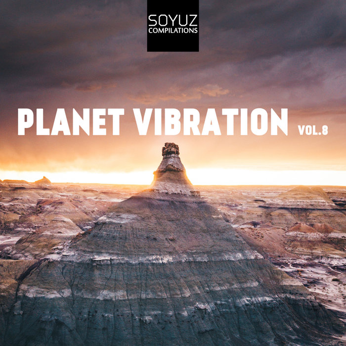 VARIOUS - Planet Vibration Vol 8