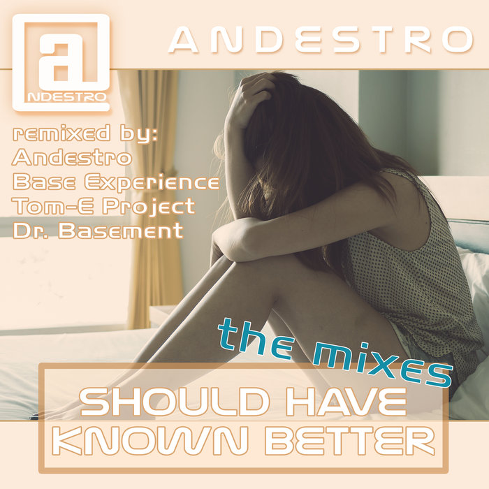 ANDESTRO - Should Have Known Better, The Mixes