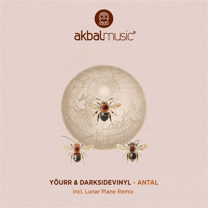 Antal by Yourr/Darksidevinyl on MP3 WAV FLAC AIFF ALAC at Juno Antal by Yourr/Darksidevinyl on MP3 WAV FLAC AIFF ALAC at Juno
