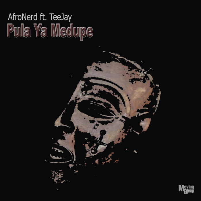 AFRONERD feat TEEJAY - Pula Ya Medupe