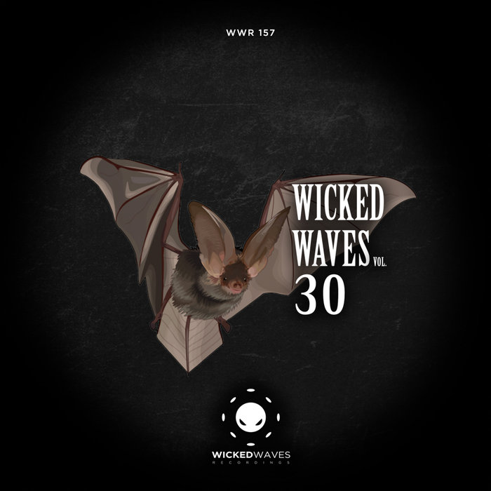 VARIOUS - Wicked Waves Vol 30