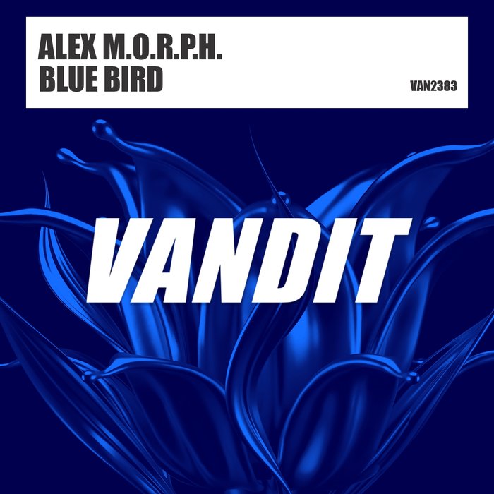 ALEX MORPH - Blue Bird