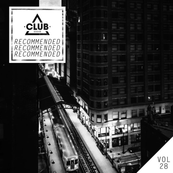 VARIOUS - Recommended Vol 28