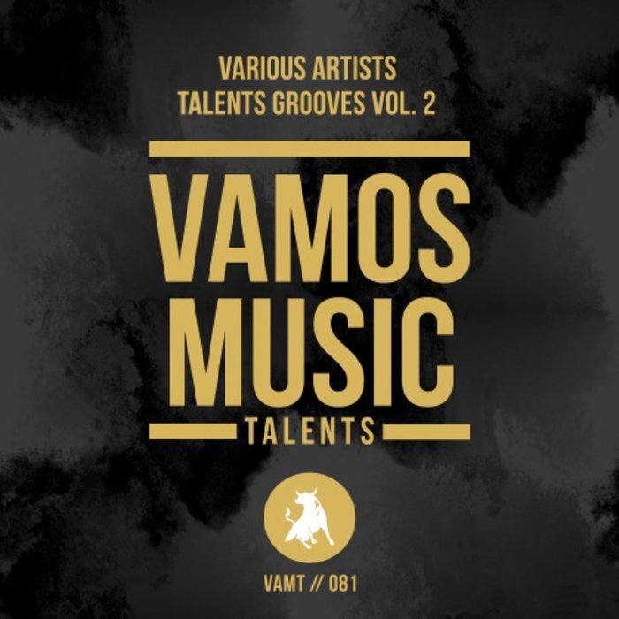 VARIOUS - Talents Grooves Vol 2