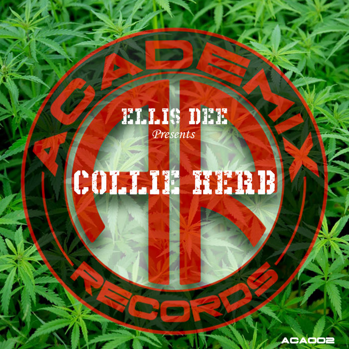 ELLIS DEE - Collie Herb