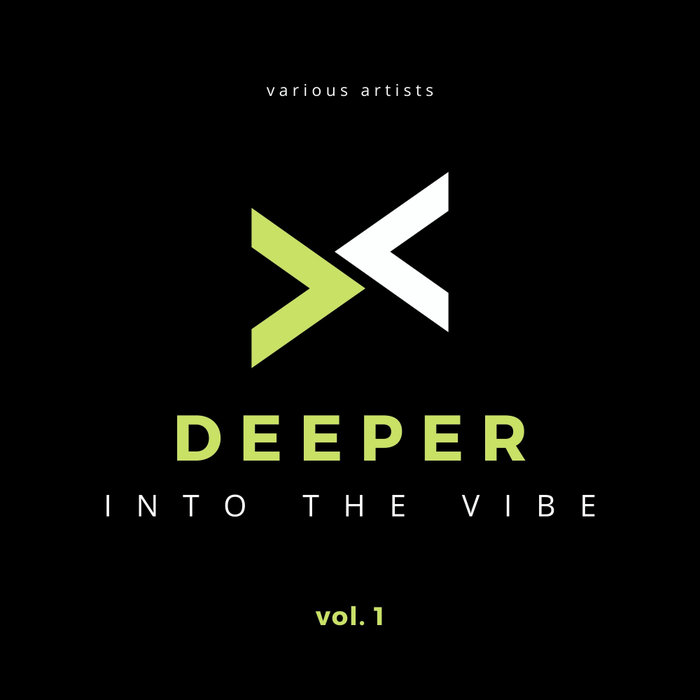 VARIOUS - Deeper Into The Vibe Vol 1