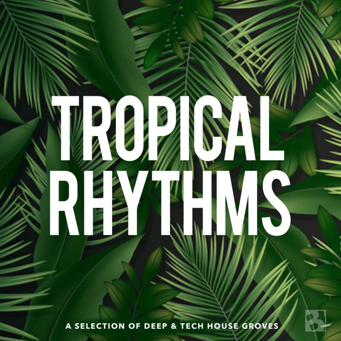 VARIOUS - Tropical Rhythms