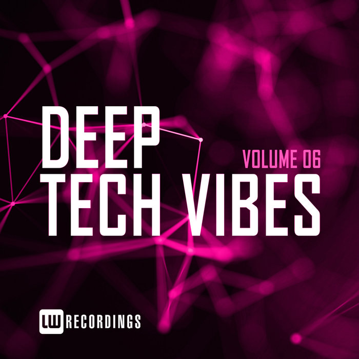 VARIOUS - Deep Tech Vibes Vol 06
