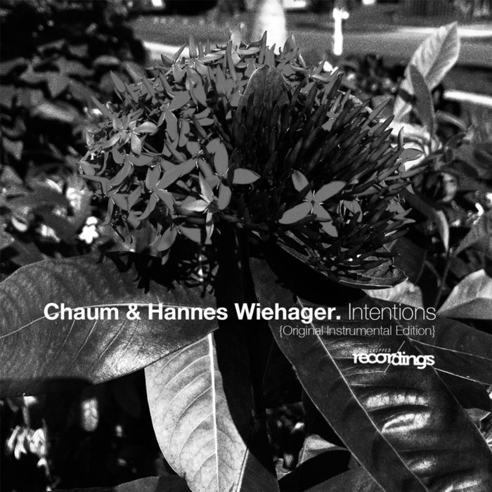 CHAUM/HANNES WIEHAGER - Intentions (Original Instrumental Edition)