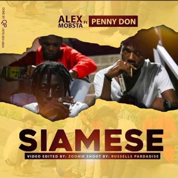 ALEX MOBSTA feat PENNY DON - Siamese