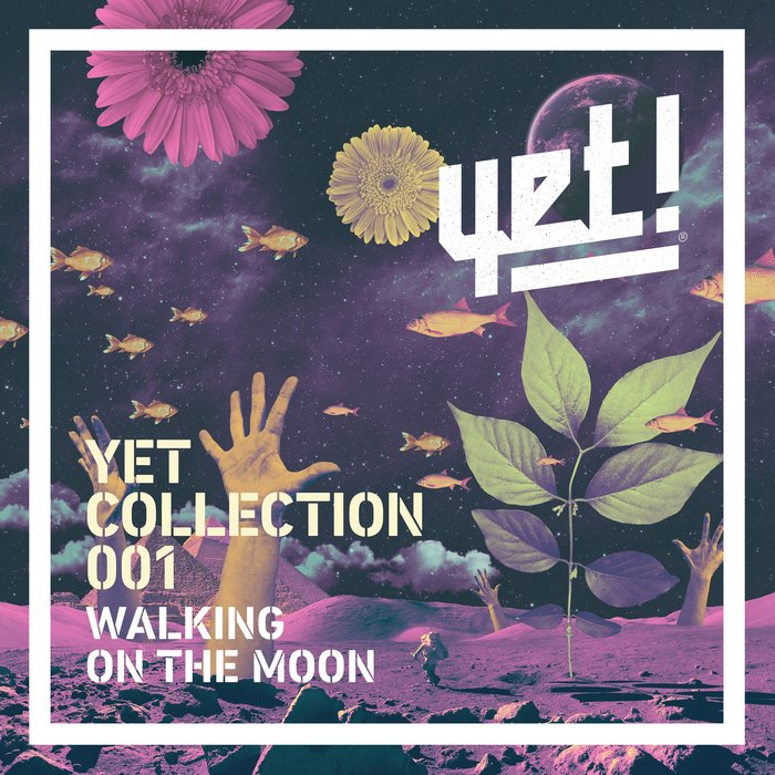 VARIOUS - Walking On The Moon