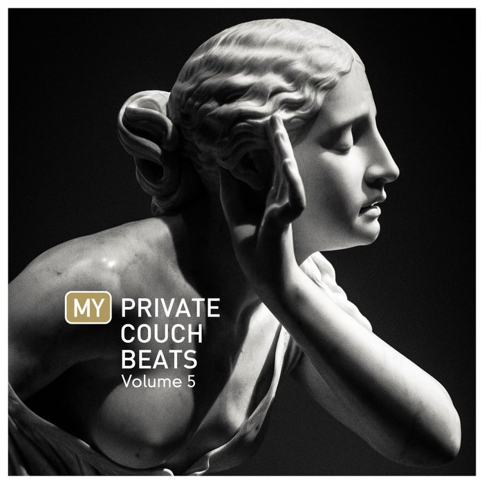 VARIOUS - My Private Couch Beats 5