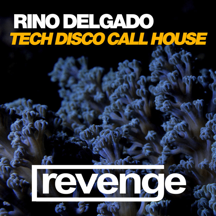 Tech Disco Call House Vip Mix By Rino Delgado On Mp3 Wav Flac Aiff Alac At Juno Download juno download