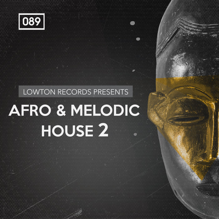 Bingoshakerz: Afro & Melodic House 2 (Sample Pack WAV/REX) At Juno Download